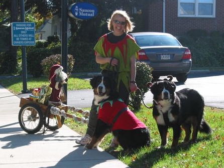 Sue Van Ocker with her Abbey and Beth's Kelsey
