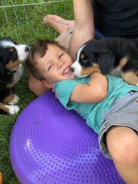 Our Professional Puppy Handlers - The Brown Family
