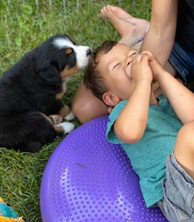 Our Professional Puppy Handlers - The Brown Family
