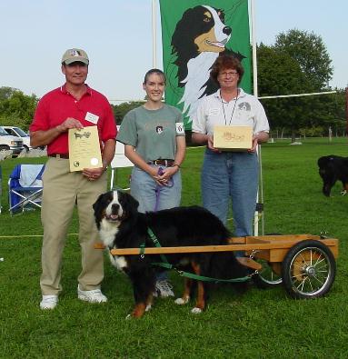 Andrea Stafanic with Chance - Novice Draft Dog Test at PVBMDC 2002
