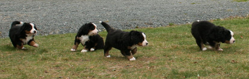 Outside - Day 39
Ripley, Kedron, Cascade & Sabbaday
