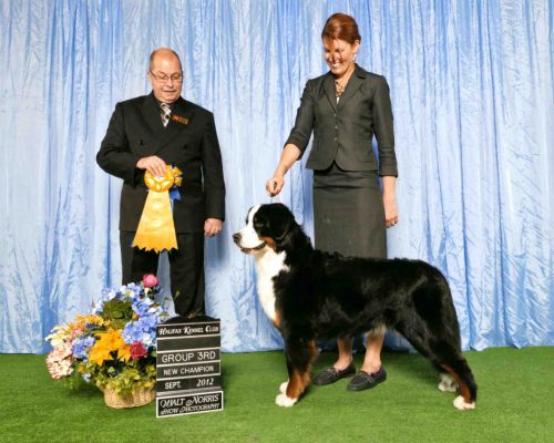 Balsam CKC Champion and Group 3
Shown by Bonnie Galbraith Fisher.
