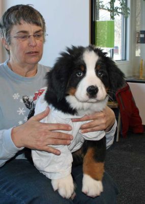 First Day of Puppy Class
11 Weeks Old.
