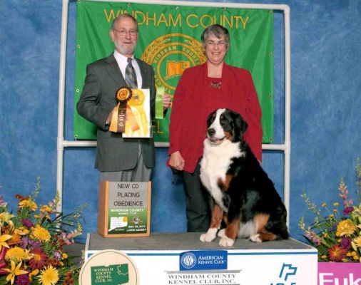 Balsam Novice Obedience Title
Balsam completed her CD at the age of 12 months in 3 trials with scores of 192.5, 193, and 195.
