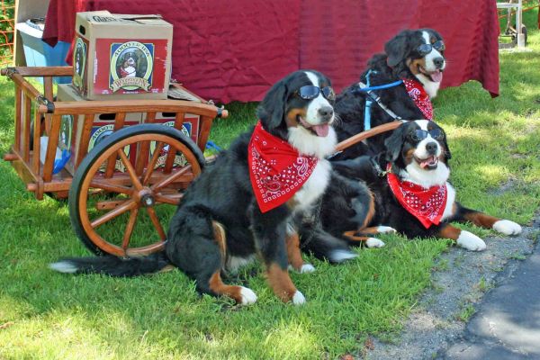 4,000 Footer IPA Berners
