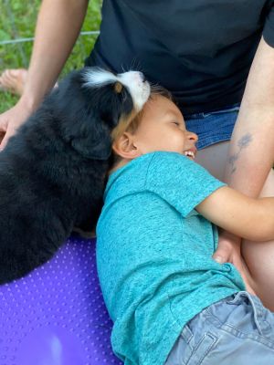 Our Professional Puppy Handlers - The Brown Family
