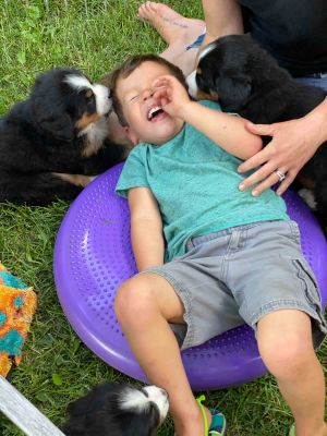 Our Professional Puppy Handlers - The Brown Family 
