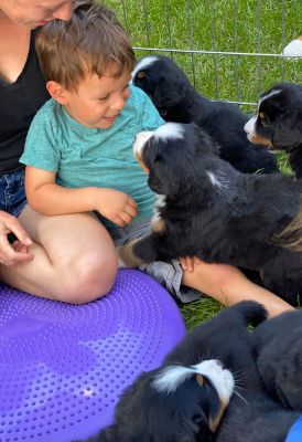 Our Professional Puppy Handlers - The Brown Family
