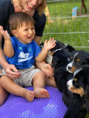 Our Professional Puppy Handlers - The Brown Family
