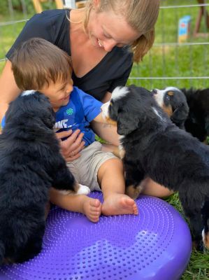 Our Professional Puppy Handlers - The Brown Family
