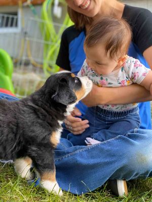 Our Professional Puppy Handlers - The Brown Family 
