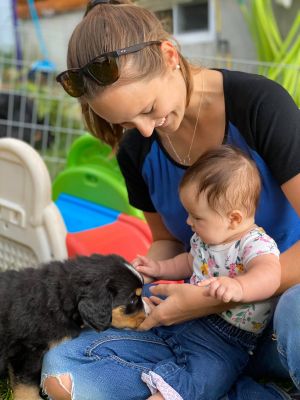 Our Professional Puppy Handlers - The Brown Family
