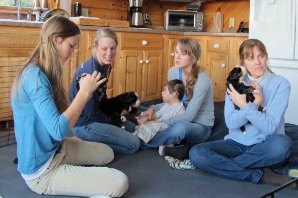 Brown Family
The Brown family has been visiting our litters since 2004.  They are our professional puppy holders.
