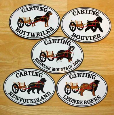 Carting Dog Car Magnets
BMD, Newf, Leo, Rottie & Bouvier
5 inches X 7 inches.
