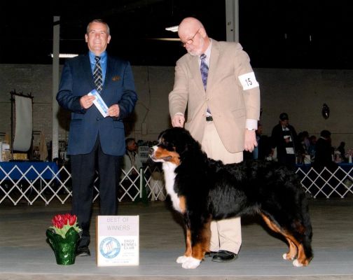 Best Of Winners - 9-12 Month Class
Dalton and Jack Secrest
