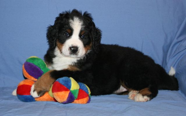 Ripley - Day 44 - 12.2 pounds
