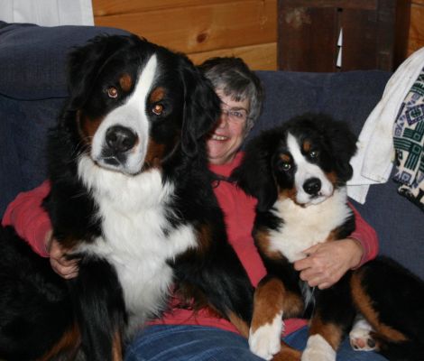 Father and Son - Jefferson and Mangus
Mangus is 5 months old
