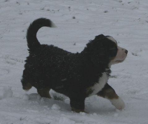 Kedron First Snow
