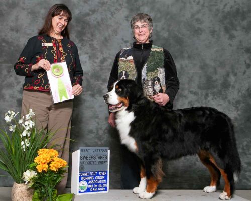 Kessie Best Veteran In Sweeps - CT River Working Dog Show
Shown by Barbie!
