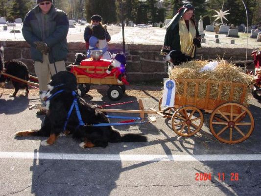 Hay Wagon with Blue Ribbon for Most Humorous
