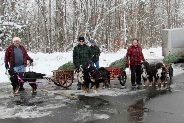 Bill with Ripley and Balsam, Buffy with Mac and Moriah and Lynn with Bentley and Molly
