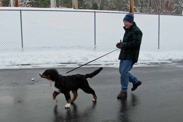 Dan Bell walking Dalton
