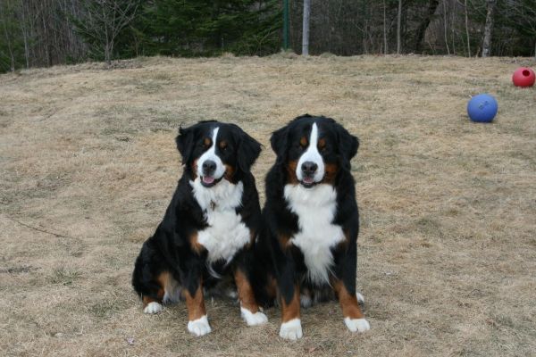 Mangus's Parents Jefferson and Maya
