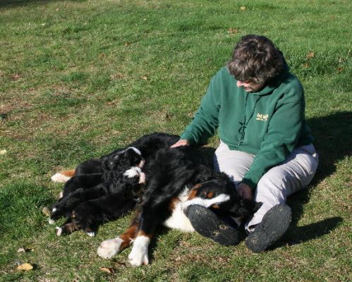 Day 25 - Pups Having First Picnic
