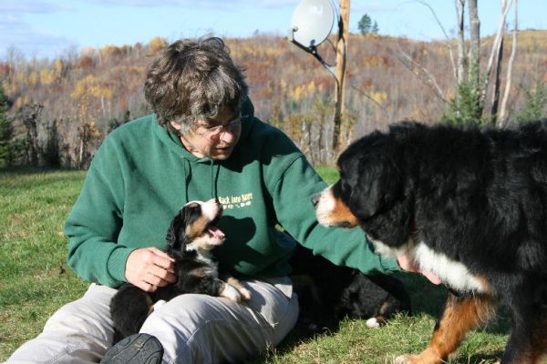 Day 25 - Pups Outside with Rufous
