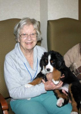 Puppy Party At Riverglen House
