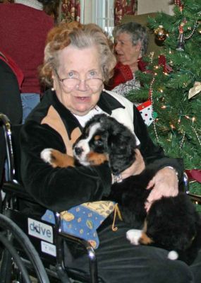 Puppy Party At Riverglen House
