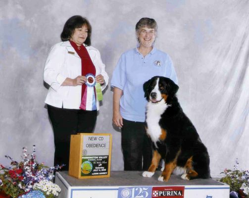 Ripley Novice Obedience Companion Dog Title
