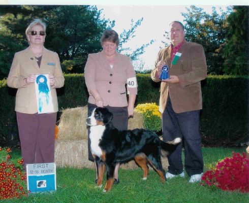 Ripley winning the 12-18 month class at Watchung Specialty 2008
