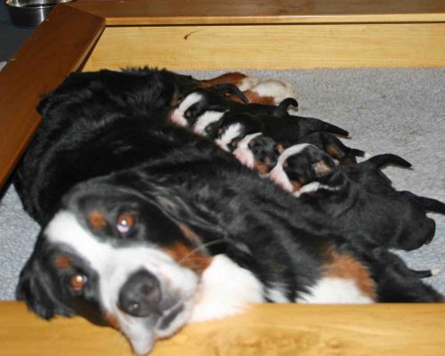 Lining Up at the Milk Bar Day 10
Got Milk?
