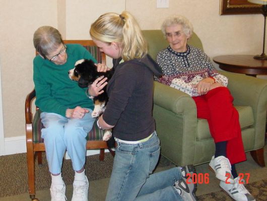 Puppies at River Glen Brought Everyone Out to See Them
