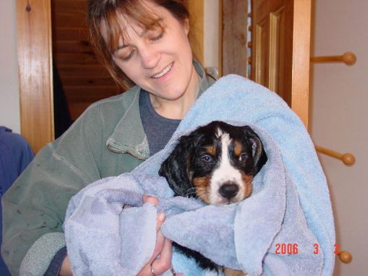 Lincoln 's First Bath
