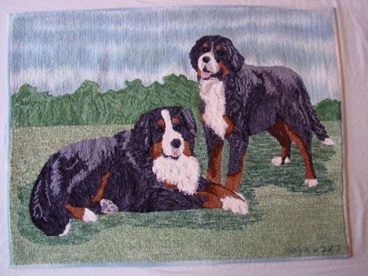 Berner Rug
Mac and Rufous
