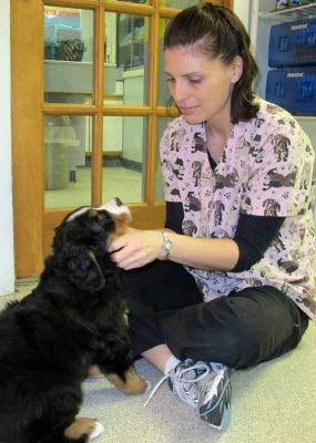 Becky Meets Lafayette
First Road Trip - Social Visit With Techs at CPC.
