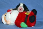 Filename=4000FTPUPPIESDAY2_JACKSON044~0.jpg
Filesize=100KiB
Dimensions=1753x1169
Date added=Nov 13, 2012 4000FTPUPPIESDAY2_JACKSON044~0.jpg