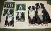 Filename=4DogsinLupinesRugsf.jpg
Filesize=208KiB
Dimensions=2898x1787
Date added=Jun 28, 2012 4DogsinLupinesRugsf.jpg