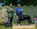 Filename=Balsam_AOM_BMDCO01sf.jpg
Filesize=682KiB
Dimensions=5080x4062
Date added=Aug 02, 2013 Balsam_AOM_BMDCO01sf.jpg