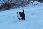 Filename=Coggin009.jpg
Filesize=104KiB
Dimensions=1200x800
Date added=Dec 16, 2013 Coggin009.jpg