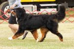 Filename=Dalton_Ladies01.jpg
Filesize=144KiB
Dimensions=2676x1784
Date added=Dec 28, 2015 Dalton_Ladies01.jpg