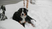 Filename=Grander.JPG
Filesize=104KiB
Dimensions=720x405
Date added=Feb 06, 2011 Grander.JPG