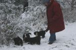 Filename=GroupFirstSnow.jpg
Filesize=136KiB
Dimensions=949x619
Date added=Nov 16, 2007 GroupFirstSnow.jpg