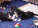 Filename=HeyWhatIsThis.jpg
Filesize=93KiB
Dimensions=800x600
Date added=Feb 23, 2006 HeyWhatIsThis.jpg