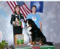 Filename=JeffersonREsf.jpg
Filesize=103KiB
Dimensions=983x804
Date added=Nov 29, 2008 JeffersonREsf.jpg