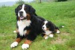 Filename=JeffersonandSon.JPG
Filesize=246KiB
Dimensions=1296x864
Date added=Aug 08, 2009 JeffersonandSon.JPG