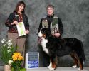 Filename=KessieBest_VeteraninSweepssf.jpg
Filesize=123KiB
Dimensions=1500x1200
Date added=Sep 20, 2012 KessieBest_VeteraninSweepssf.jpg