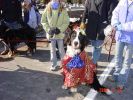 Littleton Christmas Parade 2004 045sf Simon Brown.jpg